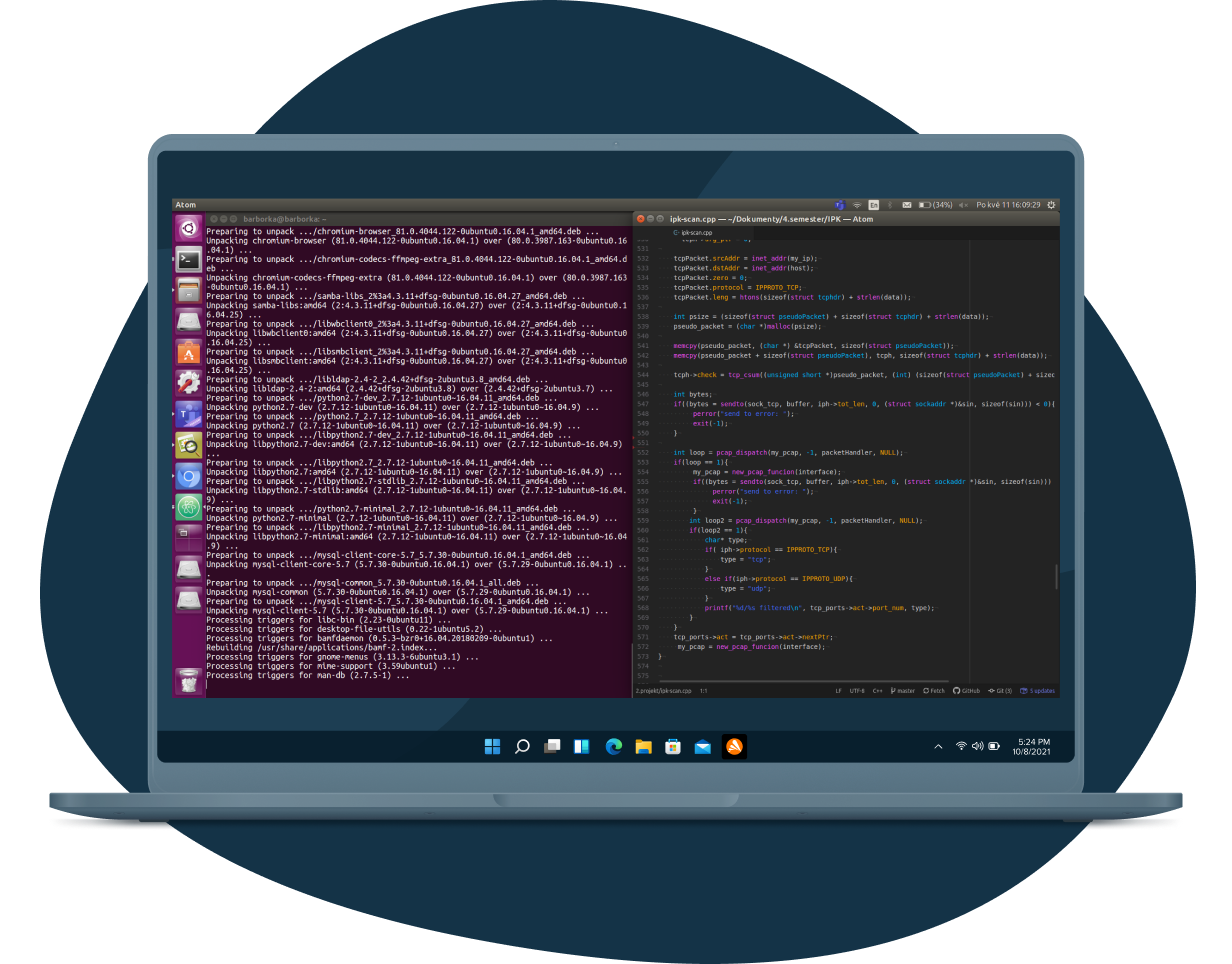 gebruikersinterface